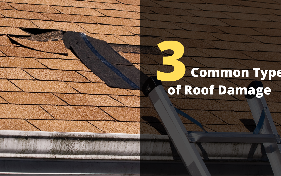 Three Common Types of Roof Damage