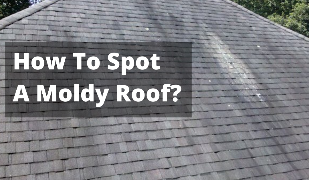 How To Spot Mold On My Roof?