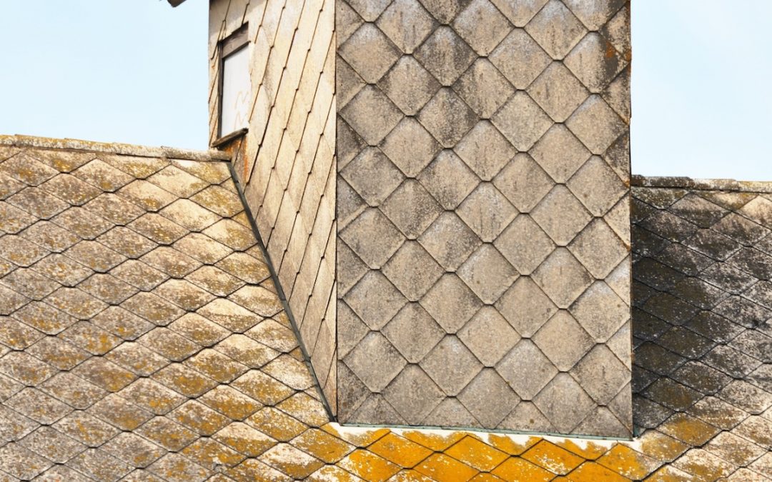 How to Clean Algae or Mold Off Your Roof Shingles