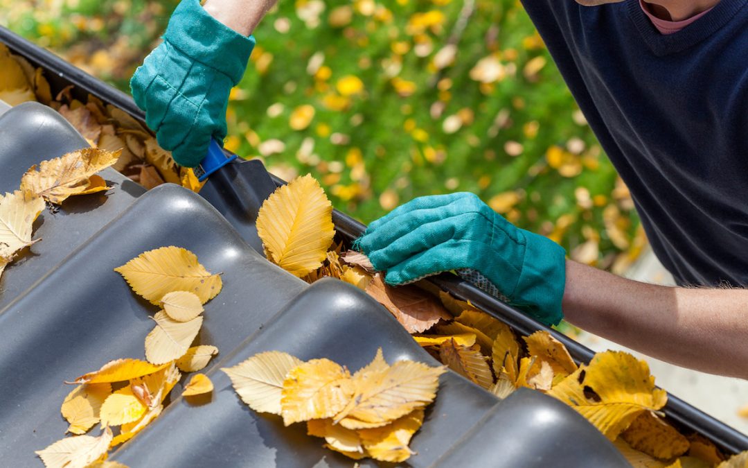Five Tips to Clean Your Rain Gutters
