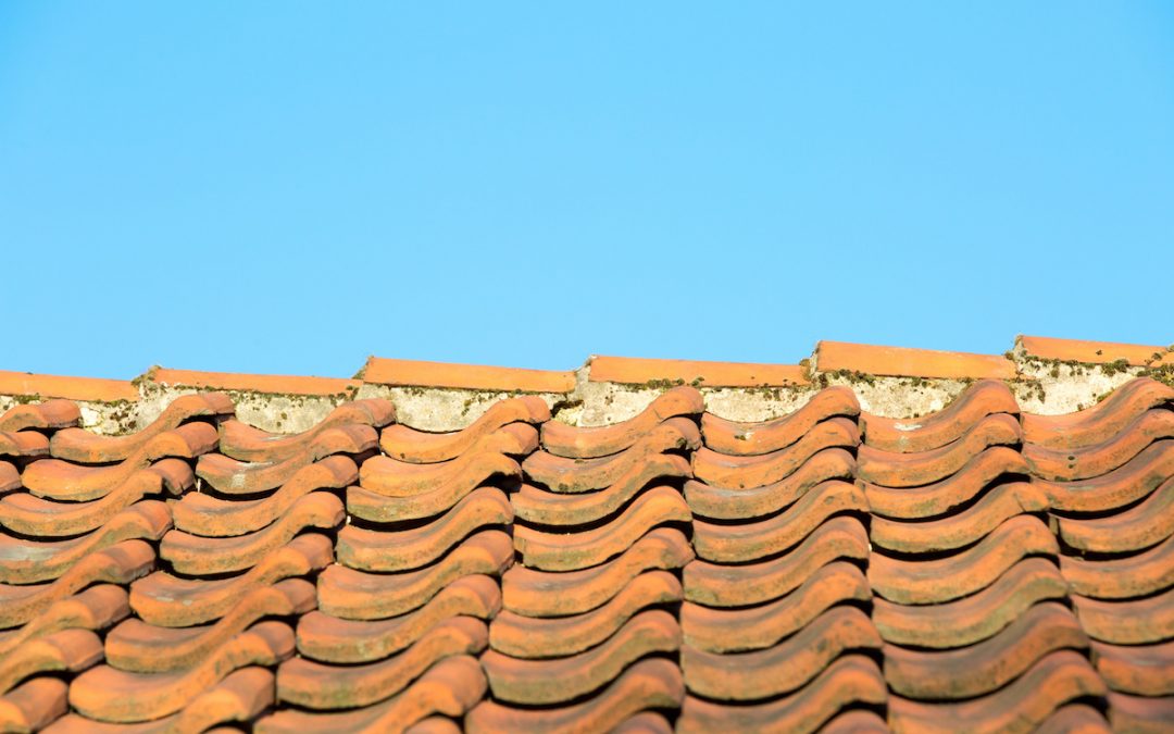 Roof Cleaning Series: Getting Rid of Mold