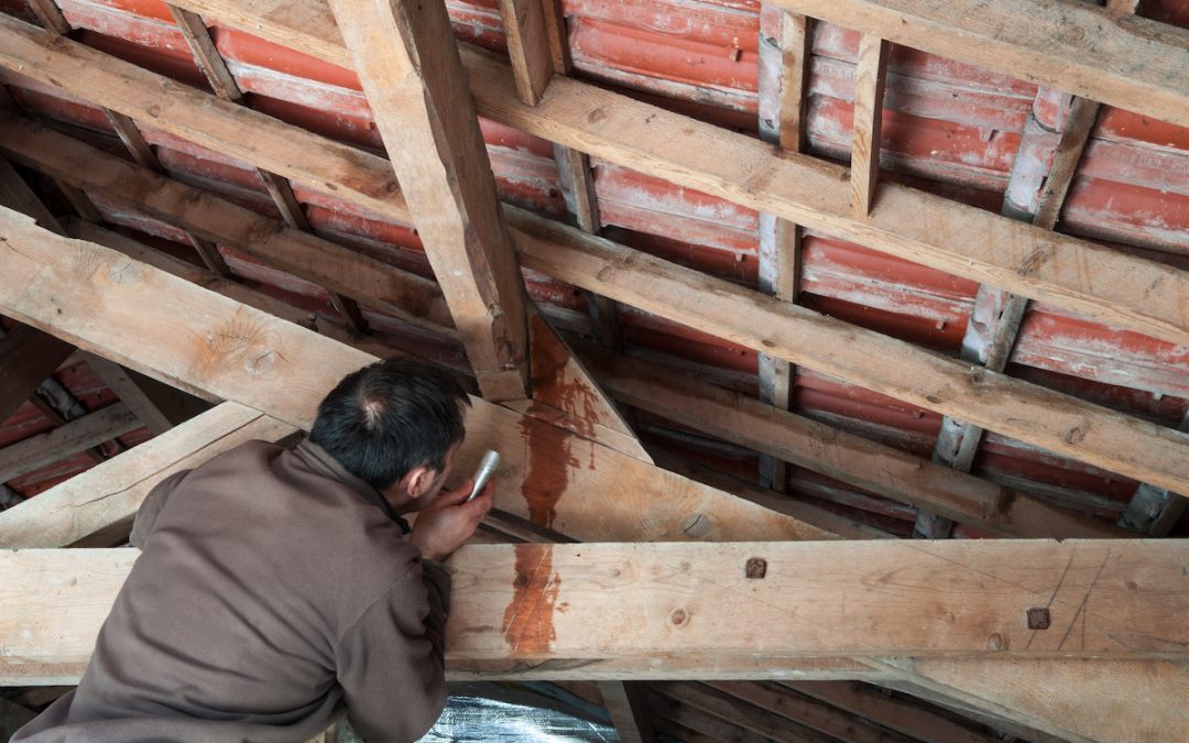 9 Indicators of a Roof Leak by Roof Repair Expert
