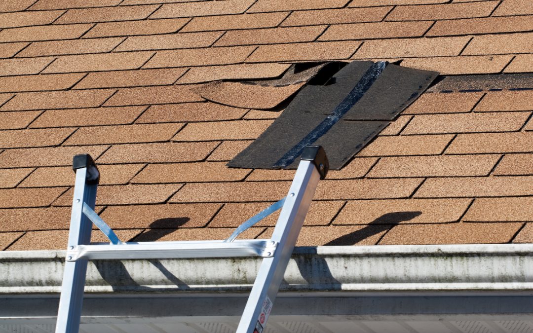 Should I Buy a House that Needs a New Roof?