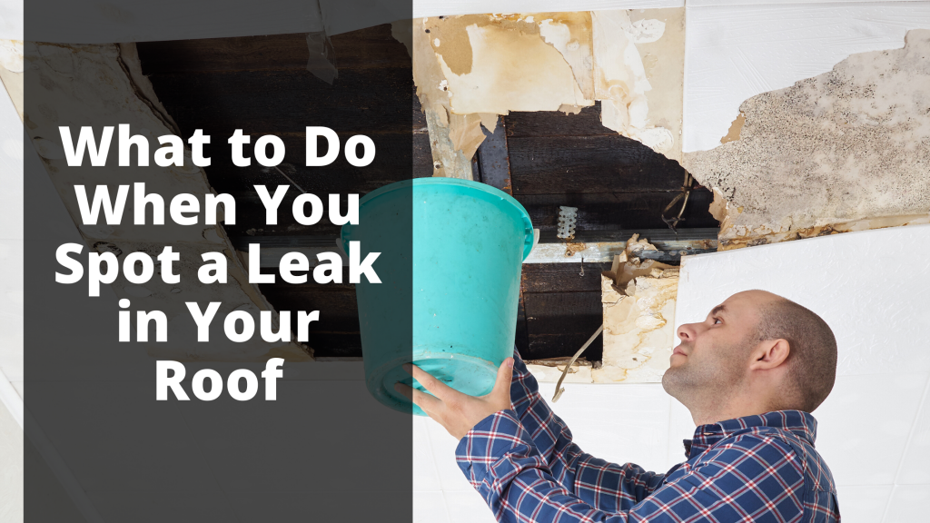 What To Do If My Roof Is Leaking