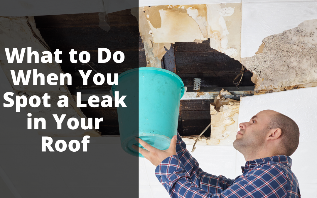 What Should I Do If My Roof Is Leaking?