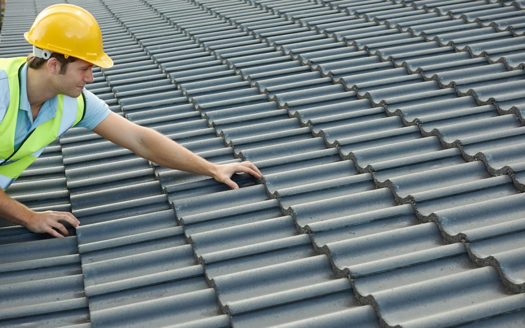 9 Steps to Inspect Your Roof in Tampa Bay