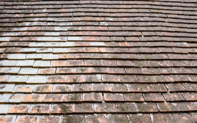 What a Roof Can Tell You About a New House