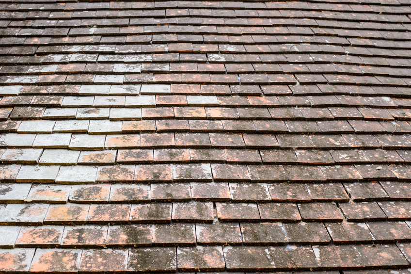 What a Roof Can Tell You About a New House