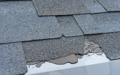 6 Signs Your Roof Is In Need of Repair